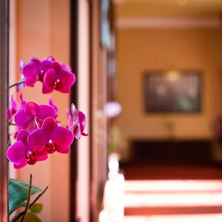 哈维波恩特酒店