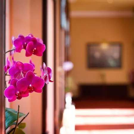Harvey's Point Hotel