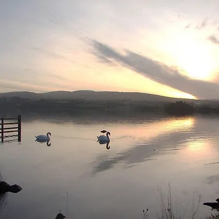 Harvey's Point Hotel