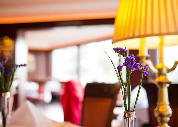 Harvey's Point 4* Донегол