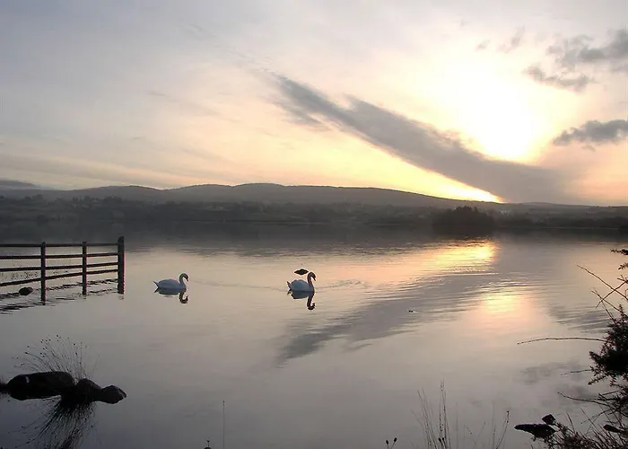 Harvey's Point Hotel